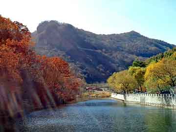 管家婆免费正版资起大全，钢卷板